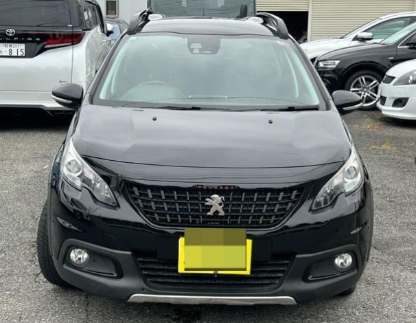 Peugeot 2008 GT Line
