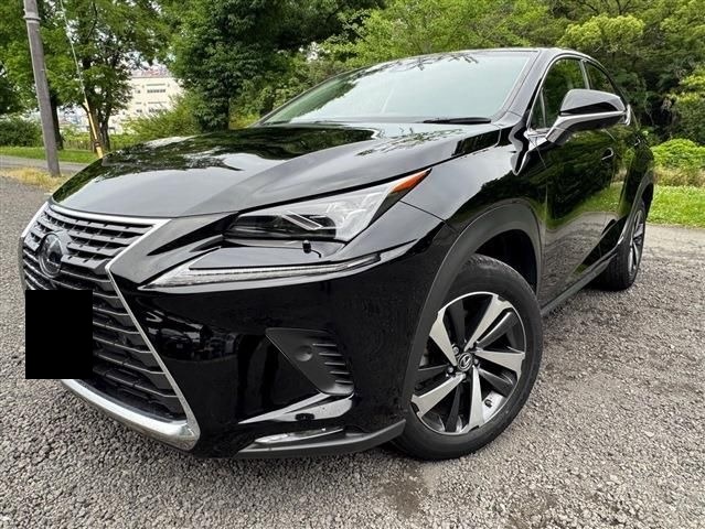 2019 Lexus NX 300h Hybrid | Luxury SUV | Efficient & Stylish Ride