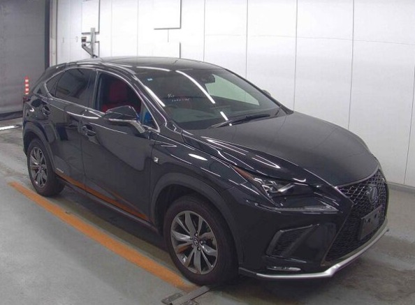 2019 Lexus NX 300h Hybrid | Luxury SUV | Efficient & Stylish Ride